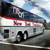 Daily News Reporters Find Stealing Buses <em>So Easy</em>